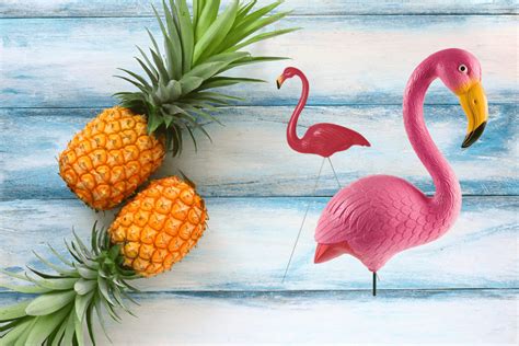 flamingo mysecret|Il leggendario Flamingo e tutti i nostri succhiaclito ...